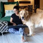Shilpi Sharma Instagram - Music and Waffle is Fun 🤩🐶🎧🎶. . . . #goldenretriever #keyboard #music #learningmusic #dog