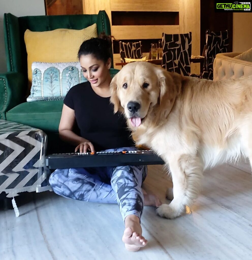 Shilpi Sharma Instagram - Music and Waffle is Fun 🤩🐶🎧🎶. . . . #goldenretriever #keyboard #music #learningmusic #dog