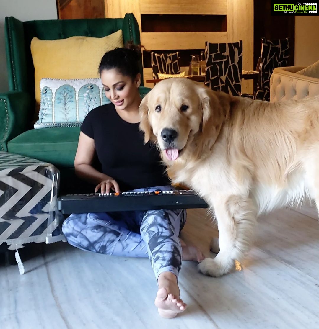 Shilpi Sharma Instagram - Music and Waffle is Fun π€©πΆπ§πΆ. . . . #goldenretriever #keyboard #music #learningmusic #dog