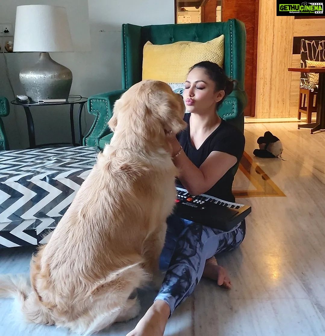 Shilpi Sharma Instagram - Music and Waffle is Fun π€©πΆπ§πΆ. . . . #goldenretriever #keyboard #music #learningmusic #dog