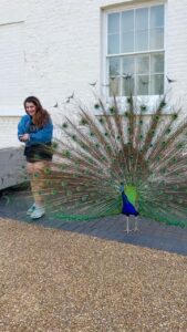 Shivaleeka Oberoi Instagram - The stars aligned for this rare moment! 🦚 #GratefulHeart #Memorable #RareEncounter #Peacock #NaturesBeauty ✨