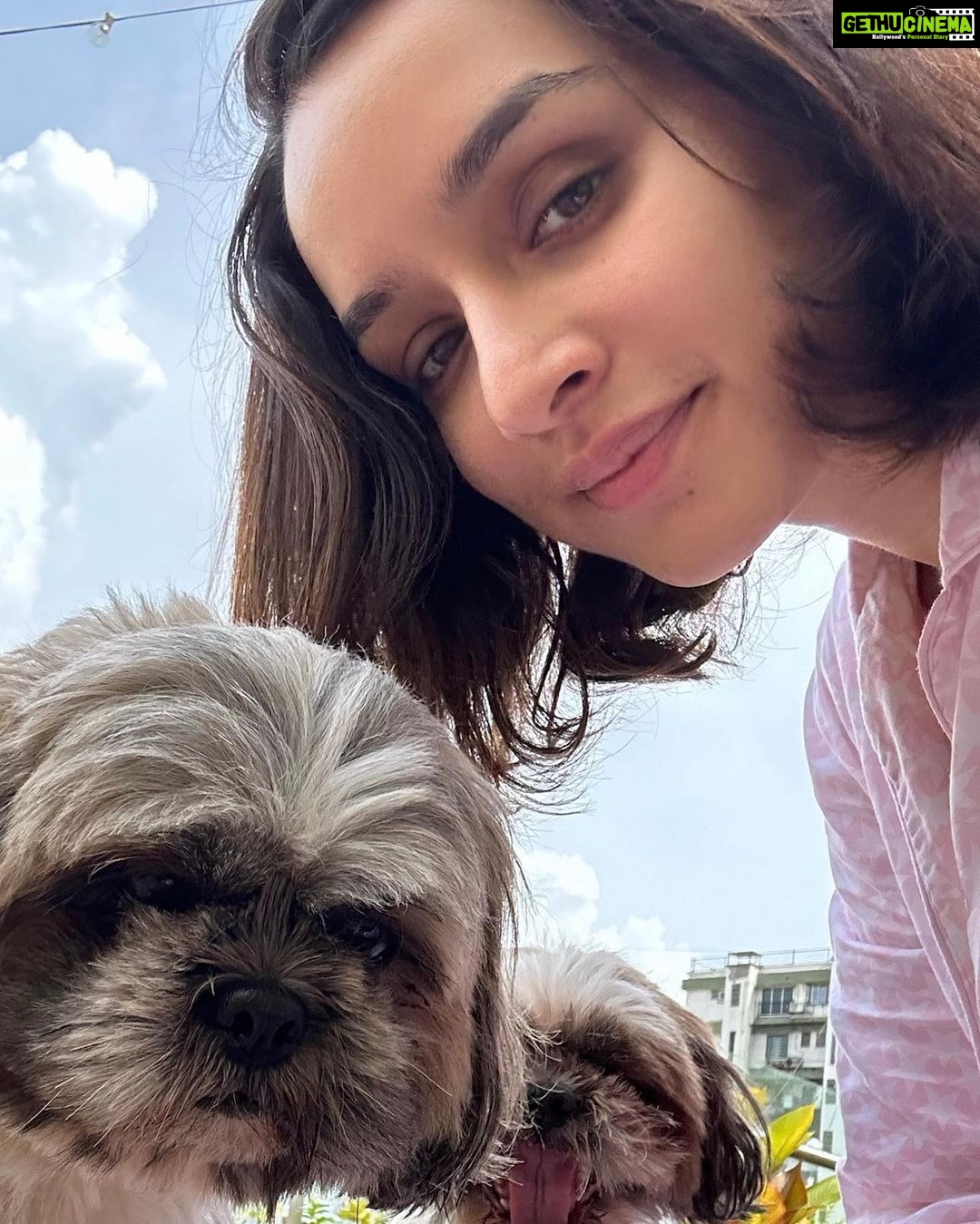 Shraddha Kapoor Instagram - Isse better Sunday hoga kahin??? πΆπ¦¦π
