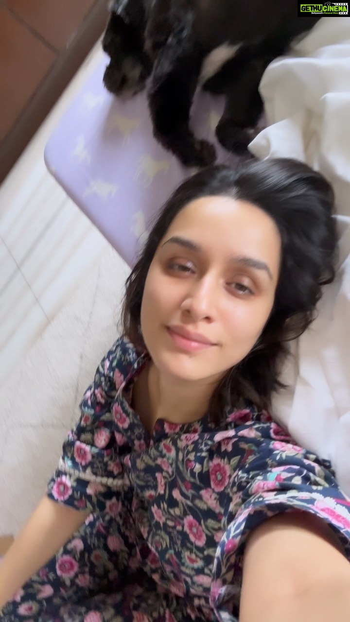 Shraddha Kapoor Instagram - Chaleya kitni baar sunleya??? Maine 33,000 and counting 💃🏻