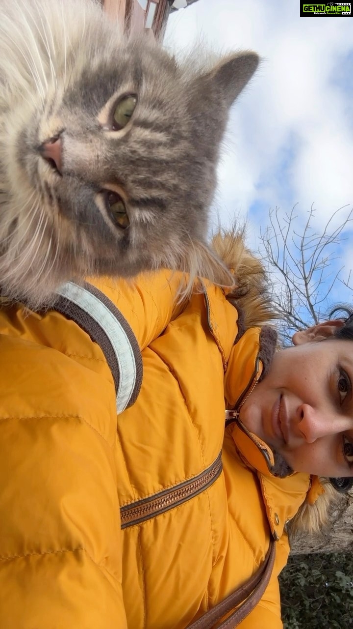 Shraddha Srinath Instagram - Found a cat that wanted to settle down with me for all its nine lives Baku, Azerbaijan