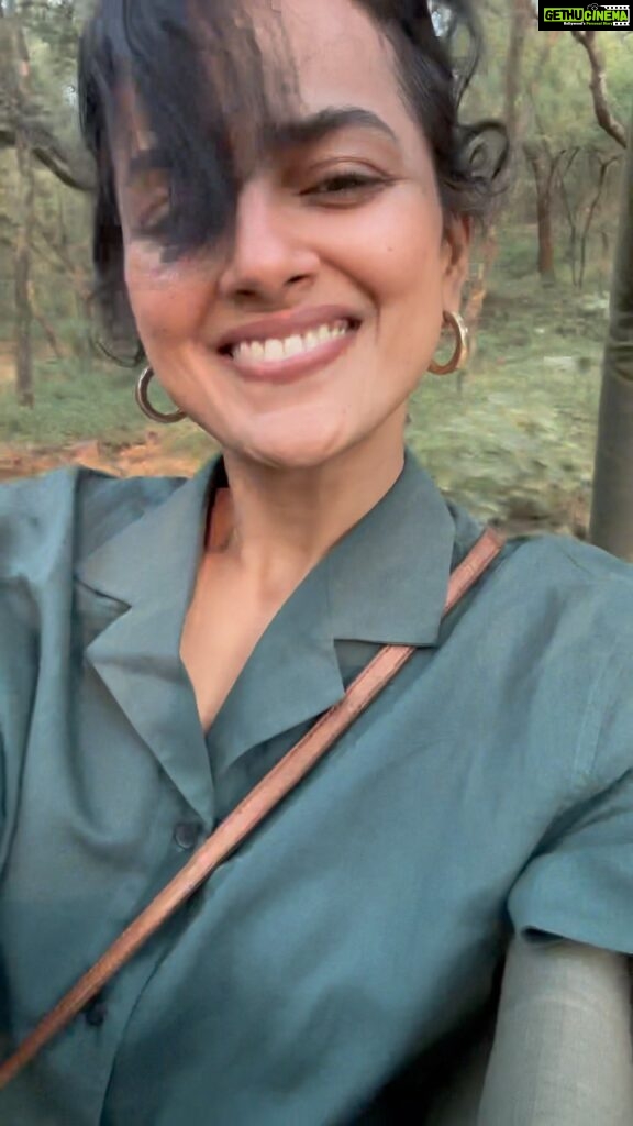 Shraddha Srinath Instagram - It was my very first safari. I didn’t understand it at first, but I sensed something exciting was about to transpire as our driver sped up several notches and hit a curve on the dirt track with an intensity that only a good old gypsy and a forest veteran can handle. And there she was, around the curve, minding her own business, impervious to the human gaze - tigeress Riddhi. I thought I would experience fear, or awe. But I felt invisible. Like I didn’t exist in the eyes of this beautiful beast. Felt ignored. Maybe that’s how cats are right? They make you clamour for attention? Gosh. And the safari drivers. They slow down while they cross other vehicles and exchange bits of information about sightings. “Go this way” or “we didn’t see anything but I hope you do” or “121 was spotted here this morning” or a simple but effective “good luck”. They live and breathe it. The forest is enormous but they know it at the back of their hands. How do they even know which tiger is which? Fascinating stuff. Oh and the next morning, we saw a group of deer fleeing for their lives. Soon enough there was a tiger follow in their path. The tiger looked tired and hungry. Wonder if it’s still hungry. 3 safaris at Ranthambore and multiple sightings. Maybe it’s beginners luck but I’m going to try it everywhere now. With blessings from hon. @varun.aditya and very warm hospitality extended by @ravindra207 , my trip to Sawai Madhopur/ Ranthambore national park was just how I wished it would be. :) Can we please talk about how making reels is difficult enough but picking songs for reels is sheer torture?