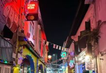Shraddha Srinath Instagram - Went to an amusement park after what felt like a a hundred years. Jolly. Went on the Mummy ride and screamed out "MUMMMYYYYY” and instantly realised the humour in it. Went for a very nice Peranakan cuisine dinner. Exquisite. Ate so much street food. Tried a bite of durian mousse too. I've now joined the anti durian forces. Went for three days of the grand prix. Unforgettable. It was hot and a lot of beer was consumed. I forgot my sunglasses back in India so I had to buy an overpriced merch cap and picked the F1 logo cap because that's as non committal as it gets. Hey, I'm here for the sport. A girl is allowed to take her time to pick a team no? I want to marry @danielricciardo though. The stories of my love for him are famous. There was beer on the rainy days too, did I mention? Speaking of the rain, the devil himself descended upon us in the form of torrential rains ooooffff. Everyone was wearing white shoes and everyone went home weeping. People were falling all over the place thanks to the slush. I WATCHED @westlife LIVE! Those who do not share my enthusiasm for Westlife can please go stand in one corner. Teenage Shraddha is beaming. I watched the Black eyed peas too but Westlife is what made me so happy. The last picture of me standing under that warning sign is so funny. I laughed and laughed and laughed. Sunscreen was worn on all the days. This is my Singapore dump. Thank you for reading this far.