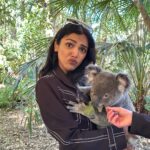 Shriya Pilgaonkar Instagram - Not me baby talking with a Koala. Turns out cuddling with my spirit animal is all that my heart needed 🥹🥰🐨 This cutie is JETHRO 4 years old and smelt of eucalyptus. Softest furry puppy ♥️Thank you @lonepinekoala for this special moment. Obviously made me 🥹 With increasing global warming a lot of koalas lot their homes and there has been a lot of effort to rehabilitate them. Ps -You cannot touch and hold koalas randomly in Australia. It is legal and permissible under the conservation rules to hold a koala in Queensland and the team at the Lone Pine Koala sanctuary ensures that you interact with them under guidance and for a limited window. @visitbrisbane @queensland @australia #seeaustralia #thisisqueensland #visitbrisbane #brisbaneanyday #Ausis #Koala #lonepine Lone Pine Koala Sanctuary