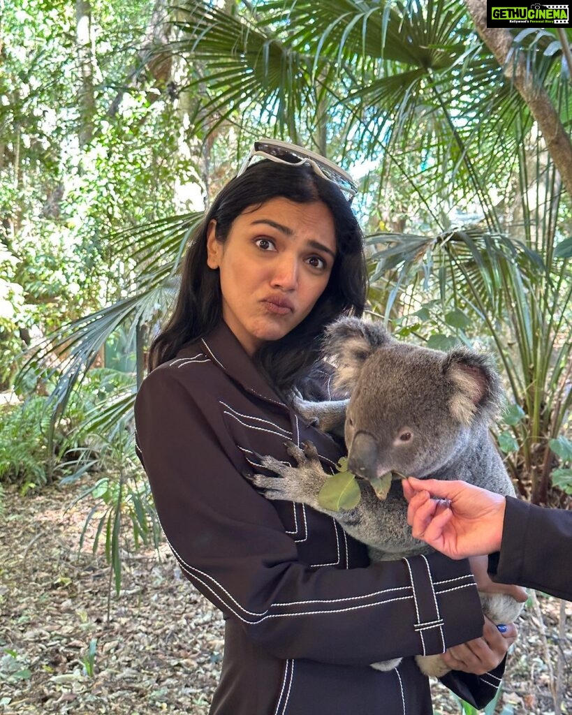 Shriya Pilgaonkar Instagram - Not me baby talking with a Koala. Turns out cuddling with my spirit animal is all that my heart needed 🥹🥰🐨 This cutie is JETHRO 4 years old and smelt of eucalyptus. Softest furry puppy ♥️Thank you @lonepinekoala for this special moment. Obviously made me 🥹 With increasing global warming a lot of koalas lot their homes and there has been a lot of effort to rehabilitate them. Ps -You cannot touch and hold koalas randomly in Australia. It is legal and permissible under the conservation rules to hold a koala in Queensland and the team at the Lone Pine Koala sanctuary ensures that you interact with them under guidance and for a limited window. @visitbrisbane @queensland @australia #seeaustralia #thisisqueensland #visitbrisbane #brisbaneanyday #Ausis #Koala #lonepine Lone Pine Koala Sanctuary