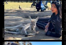 Shriya Pilgaonkar Instagram - Not me baby talking with a Koala. Turns out cuddling with my spirit animal is all that my heart needed 🥹🥰🐨 This cutie is JETHRO 4 years old and smelt of eucalyptus. Softest furry puppy ♥️Thank you @lonepinekoala for this special moment. Obviously made me 🥹 With increasing global warming a lot of koalas lot their homes and there has been a lot of effort to rehabilitate them. Ps -You cannot touch and hold koalas randomly in Australia. It is legal and permissible under the conservation rules to hold a koala in Queensland and the team at the Lone Pine Koala sanctuary ensures that you interact with them under guidance and for a limited window. @visitbrisbane @queensland @australia #seeaustralia #thisisqueensland #visitbrisbane #brisbaneanyday #Ausis #Koala #lonepine Lone Pine Koala Sanctuary