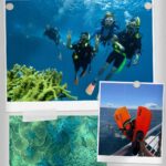 Shriya Pilgaonkar Instagram - With love,gratitude,sandy skin & salty hair from Cairns & The Great Barrier Reef 🪸🤿🏝️🐢🍍🐚💛 Diving and snorkelling in the Great Barrier Reef, drifting through rain forests , those sunsets , getting emotionally attached to sea turtles and that amazing food ! @queensland is breathtaking and the range of experiences we’ve had in the past 4 days has been incredible. Thank you @megan.bell03 for being such a trooper with us and @annushkahardikar memories of a lifetime. #AustraliaTourism @tropicalnorthqueensland @queensland @australia @fitzroyisland #seeaustralia #thisisqueensland #exploreTNQ #Cairns #fitzroyisland #TheGreatBarrierReef #scubadiving #snorkel #Ausis Cairns, Queensland, Australia