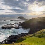 Shriya Pilgaonkar Instagram - 📍 Breathtaking .Just 2 hours away from Melbourne . Phillip island is gorgeous. Swept away by the beauty of the Nobbies and the little penguin parade that takes place after sundown when they turn up on the beach from the ocean and walk to their burrows in large groups . Haven’t seen anything like it before & the penguins were the cutest 🥹🐧My heart is full . Nature moves me in inexplicable ways. 🌊 @visitmelbourne @phillipisland #PhillipIsland #Nobbies Nobbies Phillip Island