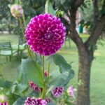 Shriya Pilgaonkar Instagram – Bloom baby, Bloom🌸🌻🌷 Srinagar, Jammu and Kashmir