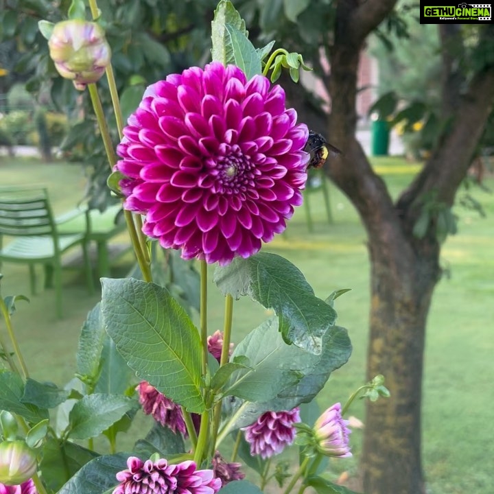 Shriya Pilgaonkar Instagram - Bloom baby, Bloom🌸🌻🌷 Srinagar, Jammu and Kashmir