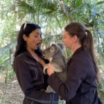 Shriya Pilgaonkar Instagram - Not me baby talking with a Koala. Turns out cuddling with my spirit animal is all that my heart needed 🥹🥰🐨 This cutie is JETHRO 4 years old and smelt of eucalyptus. Softest furry puppy ♥️Thank you @lonepinekoala for this special moment. Obviously made me 🥹 With increasing global warming a lot of koalas lot their homes and there has been a lot of effort to rehabilitate them. Ps -You cannot touch and hold koalas randomly in Australia. It is legal and permissible under the conservation rules to hold a koala in Queensland and the team at the Lone Pine Koala sanctuary ensures that you interact with them under guidance and for a limited window. @visitbrisbane @queensland @australia #seeaustralia #thisisqueensland #visitbrisbane #brisbaneanyday #Ausis #Koala #lonepine Lone Pine Koala Sanctuary