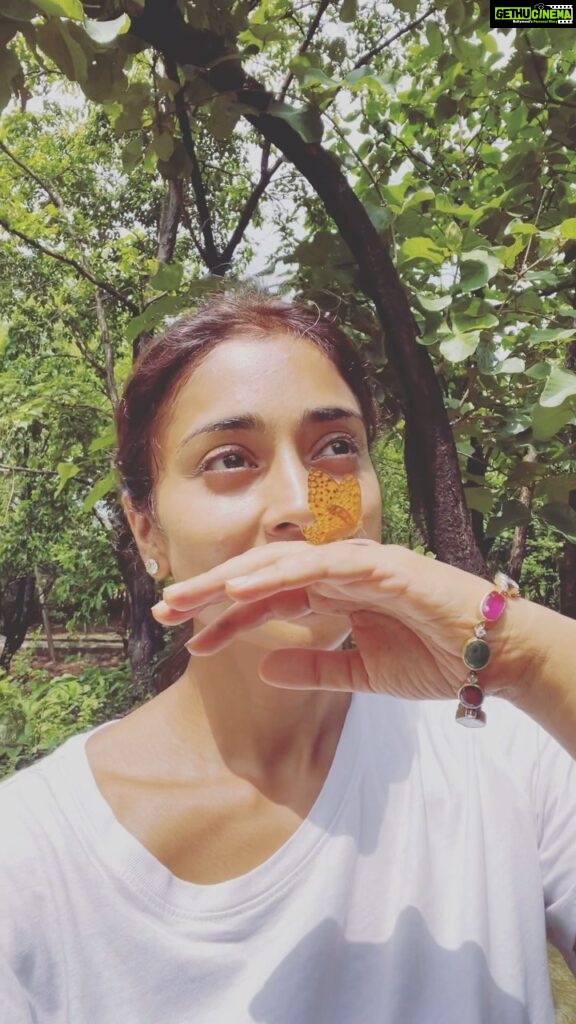 Shriya Saran Instagram - Butterflies are free