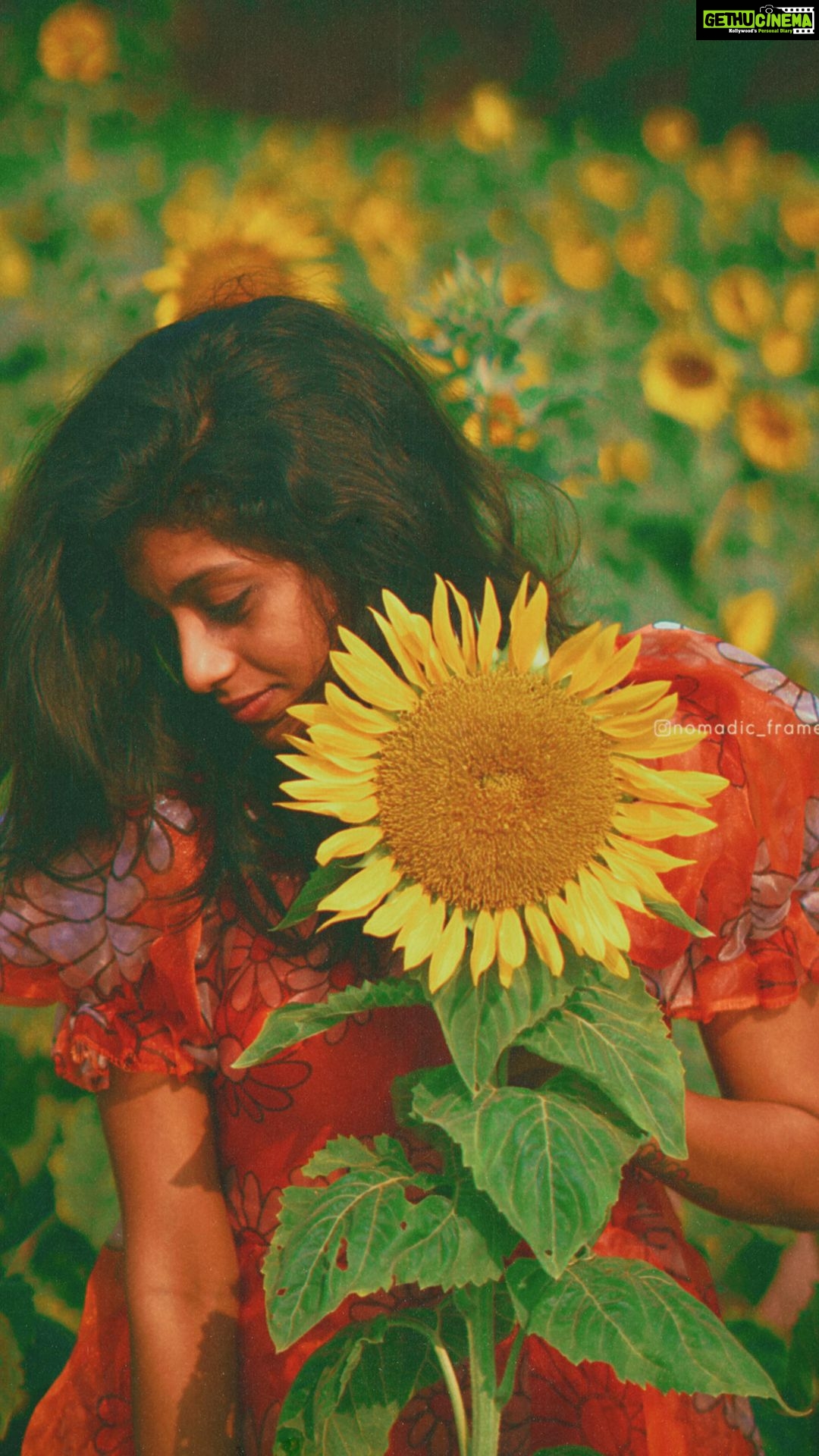 Shruthi Rajanikanth Instagram - Love ❤️🌿🌻 📸 @nomadic_frames Thiruvankulam