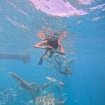Shruthi Rajanikanth Instagram - 🫰🫶 Maafushi