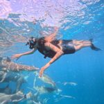 Shruthi Rajanikanth Instagram - Meeting with shark's 🌊🦈🦈 @masholidaystours Maafushi