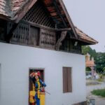Shruthi Rajanikanth Instagram - 🦋💫 📸 @___jithi___ Mua @magnificentmakeupstudio Ambalappuzha Sri Krishna Temple