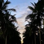 Sibi Sathyaraj Instagram – #nature #naturephotography #naturelovers