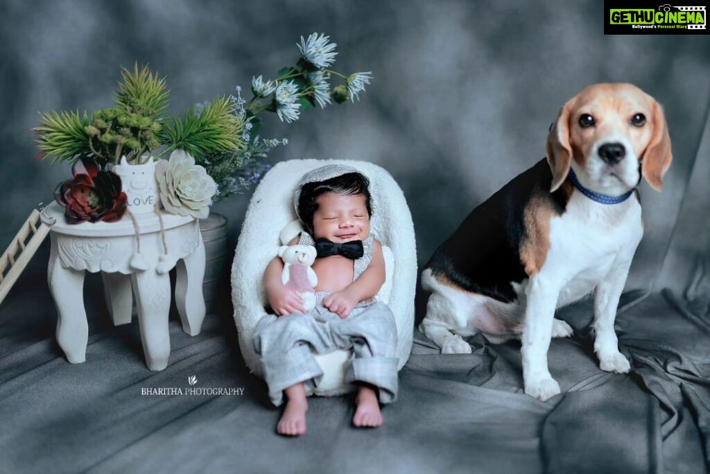 Sneha Sreekumar Instagram - Okki chettan on duty ❤❤ My gems 😍😍 📷 @bharitha_photography #newbornphotography #beaglelover #beaglepuppy #newborn #babyboy #lifeofamom