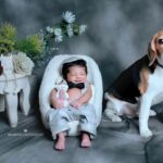 Sneha Sreekumar Instagram - Okki chettan on duty ❤️❤️ My gems 😍😍 📷 @bharitha_photography #newbornphotography #beaglelover #beaglepuppy #newborn #babyboy #lifeofamom