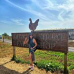 Sonnalli Seygall Instagram - Swipe to see what the fuss is all about! Send it to all car fans & say nothing 🚗🤫 #diddlysquatfarmshop #jeremyclarkson #carguy #clarksonsfarm #ukdiaries #travelwithsonnalli #travelgram #farmlife #thingstodoinlondon Diddley Squat Farm