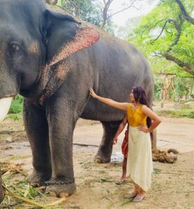 Sreethu Krishnan Instagram - Love at first sight 🫶🏻 Krishna narayana 🐘😍✨…

Wearing @varnikacollections7 ⭐️

#sreethukrishnan #elephant #happy #blessed #love #elephantlove #kerala