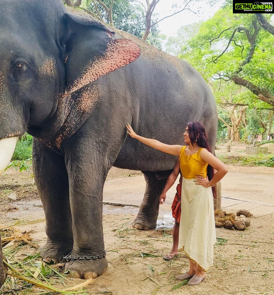 Sreethu Krishnan - 30K Likes - Love at first sight š«¶š» Krishna narayana ššāØā¦
Wearing @varnikacollections7 āļø
#sreethukrishnan #elephant #happy #blessed #love #elephantlove #kerala