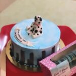 Sreethu Krishnan Instagram - Thankyou very much @yamuna_s_nair 😍😋 for this cake 🩵.. really unexpected one da 🥹♥️✨… And thanks to @cake__n__cream for this beautiful home made dog themed cake and macarons 😍 🐩