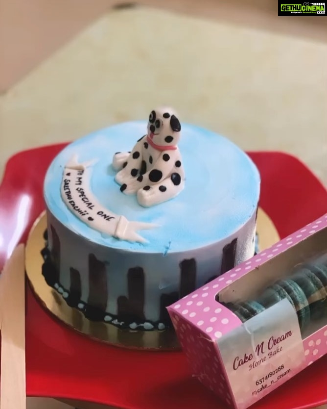 Sreethu Krishnan Instagram - Thankyou very much @yamuna_s_nair ๐๐ for this cake ๐ฉต.. really unexpected one da ๐ฅนโฅ๏ธโจโฆ And thanks to @cake__n__cream for this beautiful home made dog themed cake and macarons ๐ ๐ฉ