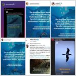 Sri Divya Instagram - #Repost @hyderabadsave Attention, everyone! We have an important date coming up: August 4th - the upcoming court hearing against the HMDA's plan to establish India's largest aviary and aquarium in #Kothwalguda, #Hyderabad. 🏛️ Celebrities like @renuudesai, @sashikirantikka, @adivisesh, @sd_sridivya, @sadaa17, @dimplehayathi, @rashmigautam, @dollysha_c, @swastikamukherjee13, and @kushithakallapu #AnchorJhansi; Organisations- @animalsaveindia, @strayanimalfoundationindia, @citizens_for_animals, @nep_ao, @breath_animal_rescue_home, @dogblood_donor, @voicelessindia, @shutdownzoos; and animal activists like @shivya, @panneeruteja, @caninemommy, @wilderlenz, @tejawildlife, @animalactivistravi, and @plantariumstorecafe have passionately voiced their opposition to the plan. Now, it's time for us to join forces, share our concerns, and gather more signatures to ensure our voices are heard by the authorities! 📝🗣️ Click the link in the bio to add your name. Together, we can make a real impact and protect our environment. @ktrtrs @talasanisrinivasyadav @urbanparks_official_hydcircle #ARVINDKUMAR #KothwalgudaEcoHillPark