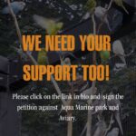 Sri Divya Instagram - #Repost @hyderabadsave Attention, everyone! We have an important date coming up: August 4th - the upcoming court hearing against the HMDA's plan to establish India's largest aviary and aquarium in #Kothwalguda, #Hyderabad. 🏛️ Celebrities like @renuudesai, @sashikirantikka, @adivisesh, @sd_sridivya, @sadaa17, @dimplehayathi, @rashmigautam, @dollysha_c, @swastikamukherjee13, and @kushithakallapu #AnchorJhansi; Organisations- @animalsaveindia, @strayanimalfoundationindia, @citizens_for_animals, @nep_ao, @breath_animal_rescue_home, @dogblood_donor, @voicelessindia, @shutdownzoos; and animal activists like @shivya, @panneeruteja, @caninemommy, @wilderlenz, @tejawildlife, @animalactivistravi, and @plantariumstorecafe have passionately voiced their opposition to the plan. Now, it's time for us to join forces, share our concerns, and gather more signatures to ensure our voices are heard by the authorities! 📝🗣️ Click the link in the bio to add your name. Together, we can make a real impact and protect our environment. @ktrtrs @talasanisrinivasyadav @urbanparks_official_hydcircle #ARVINDKUMAR #KothwalgudaEcoHillPark