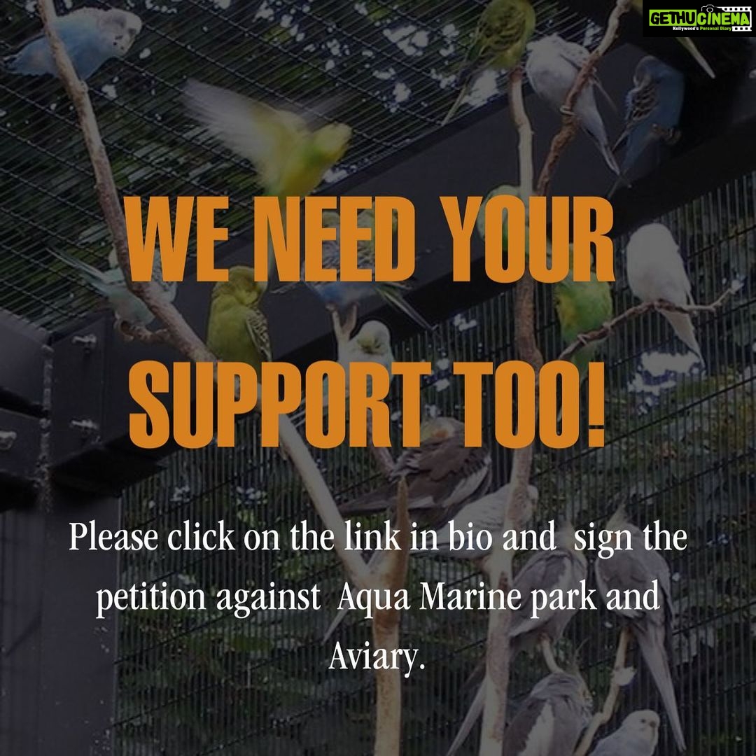 Sri Divya Instagram - #Repost @hyderabadsave Attention, everyone! We have an important date coming up: August 4th - the upcoming court hearing against the HMDA's plan to establish India's largest aviary and aquarium in #Kothwalguda, #Hyderabad. ποΈ Celebrities like @renuudesai, @sashikirantikka, @adivisesh, @sd_sridivya, @sadaa17, @dimplehayathi, @rashmigautam, @dollysha_c, @swastikamukherjee13, and @kushithakallapu #AnchorJhansi; Organisations- @animalsaveindia, @strayanimalfoundationindia, @citizens_for_animals, @nep_ao, @breath_animal_rescue_home, @dogblood_donor, @voicelessindia, @shutdownzoos; and animal activists like @shivya, @panneeruteja, @caninemommy, @wilderlenz, @tejawildlife, @animalactivistravi, and @plantariumstorecafe have passionately voiced their opposition to the plan. Now, it's time for us to join forces, share our concerns, and gather more signatures to ensure our voices are heard by the authorities! ππ£οΈ Click the link in the bio to add your name. Together, we can make a real impact and protect our environment. @ktrtrs @talasanisrinivasyadav @urbanparks_official_hydcircle #ARVINDKUMAR #KothwalgudaEcoHillPark