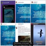 Sri Divya Instagram – Attention, everyone! We have an important date coming up: August 4th – the upcoming court hearing against the HMDA’s plan to establish India’s largest aviary and aquarium in #Kothwalguda, #Hyderabad. 🏛️ Celebrities like @renuudesai, @sashikirantikka, @adivisesh, @sadaa17, @dimplehayathi, @rashmigautam, @dollysha_c, @swastikamukherjee13, and @kushithakallapu #AnchorJhansi; 
organisations- @animalsaveindia, @strayanimalfoundationindia, @citizens_for_animals, @nep_ao, @breath_animal_rescue_home, @dogblood_donor,  @voicelessindia, @shutdownzoos; 
and animal activists like @shivya, @panneeruteja, @caninemommy, @wilderlenz, @tejawildlife, @animalactivistravi, and @plantariumstorecafe have passionately voiced their opposition to the plan. 

Now, it’s time for us to join forces, share our concerns, and gather more signatures to ensure our voices are heard by the authorities! 📝🗣️ 

Click the link in the bio to add your name. Together, we can make a real impact and protect our environment. 

@ktrtrs @talasanisrinivasyadav @urbanparks_official_hydcircle #ARVINDKUMAR #KothwalgudaEcoHillPark