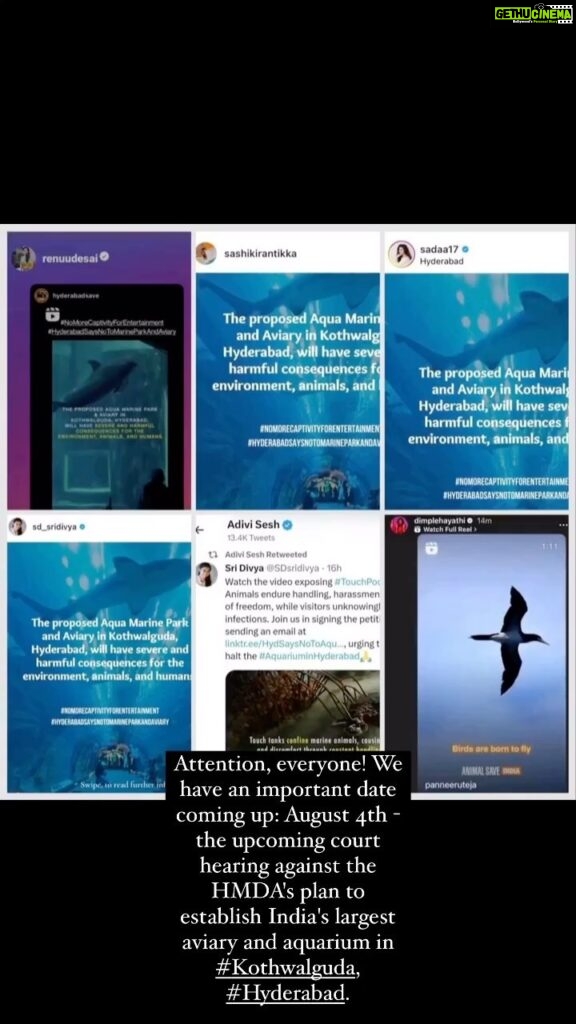 Sri Divya Instagram - Attention, everyone! We have an important date coming up: August 4th - the upcoming court hearing against the HMDA's plan to establish India's largest aviary and aquarium in #Kothwalguda, #Hyderabad. 🏛 Celebrities like @renuudesai, @sashikirantikka, @adivisesh, @sadaa17, @dimplehayathi, @rashmigautam, @dollysha_c, @swastikamukherjee13, and @kushithakallapu #AnchorJhansi; organisations- @animalsaveindia, @strayanimalfoundationindia, @citizens_for_animals, @nep_ao, @breath_animal_rescue_home, @dogblood_donor, @voicelessindia, @shutdownzoos; and animal activists like @shivya, @panneeruteja, @caninemommy, @wilderlenz, @tejawildlife, @animalactivistravi, and @plantariumstorecafe have passionately voiced their opposition to the plan. Now, it's time for us to join forces, share our concerns, and gather more signatures to ensure our voices are heard by the authorities! 📝🗣 Click the link in the bio to add your name. Together, we can make a real impact and protect our environment. @ktrtrs @talasanisrinivasyadav @urbanparks_official_hydcircle #ARVINDKUMAR #KothwalgudaEcoHillPark