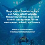 Sri Divya Instagram – Dear Hyderabadi’s,
As the scorching sun beats down on us and we anxiously await water tankers due to the dried-up groundwater, another challenging situation looms before us. The HMDA’s plan to establish India’s largest marine park and aviary right here in Hyderabad carries far-reaching negative impacts, not only for us but also for the health of our oceans and the planet as a whole.

We urge you to take a moment to educate yourselves about this matter and actively share the information with your friends and family. It is of utmost importance that we understand the potential consequences of this project. 
Our future and the well-being of our children are at stake. Let’s unite to protect our environment, secure a sustainable future, and reject the establishment of such facilities. 
Join us in raising awareness with the hashtags #HyderabadSaysNoToMarineParkAndAviary and #NoMoreCaptivityForEntertainment. 

Tag the following officials to ensure our voices are heard:
@KTRTRS , @TALASANISRINIVASYADAV ,  @URBANPARKS_OFFICIAL_HYDCIRCLE ,  #ARVINDKUMAR , #HMDA 

Thank you in advance for your attention and support.

*There was a technical error in the calculation of water required for paddy crop. However, the amount of water is substantial as it can produce up to 3000-5000 kilograms of millets or 1500-3000 kilograms of wheat, there can be more such examples. Considering water as a precious resource, we should refrain from wasting it on such facilities and instead utilize it for more essential and meaningful purposes. 

 #KothwalgudaEcoPark #Hyderabad #HyderabadNatureLovers