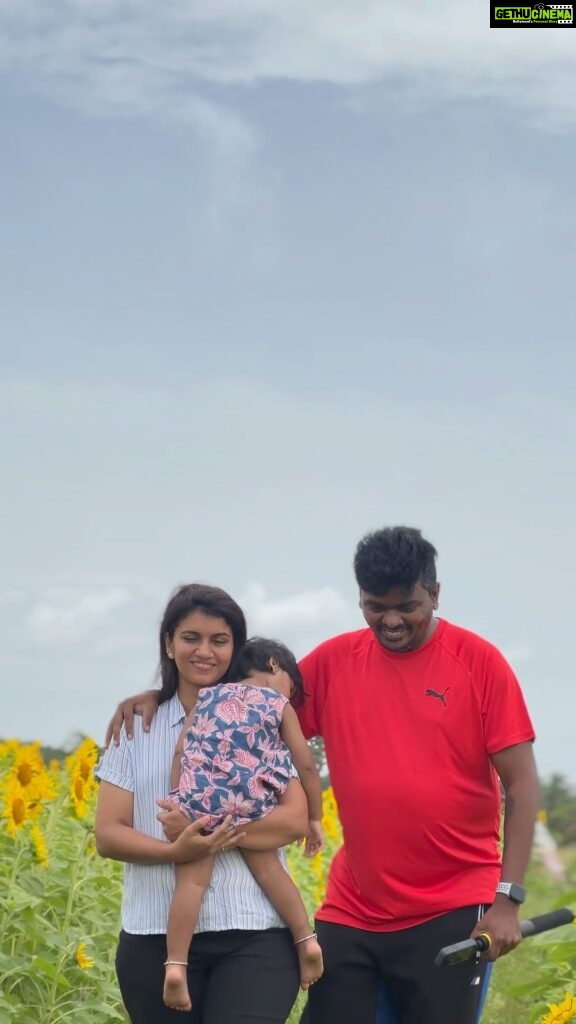 Sridevi Ashok Instagram - @ashok_chintala this is an awesome surprise 🥰🤗 We are on our way to an unknown destination and while we are travelling we found this beautiful place in Gundlupete . May be there is 1 in Tamilnadu too .. do tag and let me know were and how to go . We drove towards Hosur - Bangalore - Mysore - Gundlupet by car .. its 10hrs drive from chennai and 4 hrs drive from Hosur. Comment below if you have been to this place or know anyother sunflower plantations near by to chennai . @sitara_chintala and I are still on the way to visit our unknown destination @ashok_chintala is taking us .. will keep you updated #srideviashok #traveldestination #sunflower #gundlupet #roadtrip Gundalpet, Karnataka, India
