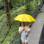 Sridevi Ashok Instagram - Live with the nature❤️❤️❤️ @sitara_chintala #srideviashok #sitarachintala #reelsindia #reelsinstagram #reelsvideo