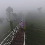 Sridevi Ashok Instagram - Hanging bridge at Wildplanet jungle resort - Devala . #mustvisit #mustvisitplace #devala #wildplanet #wildplanetjungleresort #travel