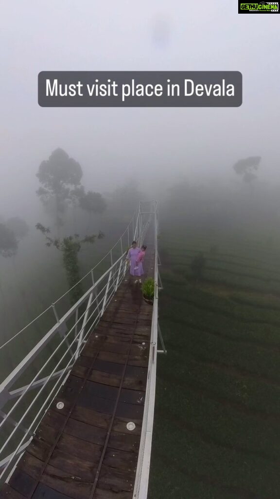 Sridevi Ashok Instagram - Hanging bridge at Wildplanet jungle resort - Devala . #mustvisit #mustvisitplace #devala #wildplanet #wildplanetjungleresort #travel