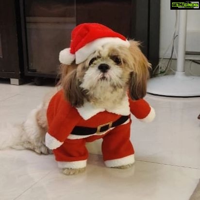 Tina Desai Instagram - Merryyyyyyyy Christmas y'all!!!! From Santa Thor and family 🎄