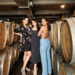 Tridha Choudhury Instagram - Wine flies when you are having fun 🍷 #vineyard #vineyards #vineyardviews #wineoclock #winecellar #vineyardtour Fratelli Vineyards, Akluj, Maharashtra.