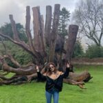 Tridha Choudhury Instagram - Perfect song to stomp to 🎄 This is how I get my Morning cardio 🎄 Dance the blues away 🎄 #dancetherapy #dancethenightaway #morningcardio #cardioworkout #therapysession #musictherapy #traveltherapy #travelwithtridha #therapywithtridha Gwydir Forest, Llanrwst
