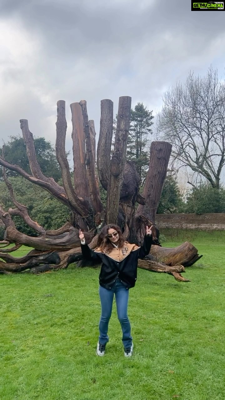 Tridha Choudhury Instagram - Perfect song to stomp to 🎄 This is how I get my Morning cardio 🎄 Dance the blues away 🎄 #dancetherapy #dancethenightaway #morningcardio #cardioworkout #therapysession #musictherapy #traveltherapy #travelwithtridha #therapywithtridha Gwydir Forest, Llanrwst