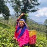 Ulka Gupta Instagram – Chai ke Baaghaan mein yeh nahi kiya toh kya kiya? 
🤙🏾 Sollu 😎 
 
 
#teaplantations #ootydiaries Ooty & Coonoor, Nilgiri Hills, Tamil Nadu