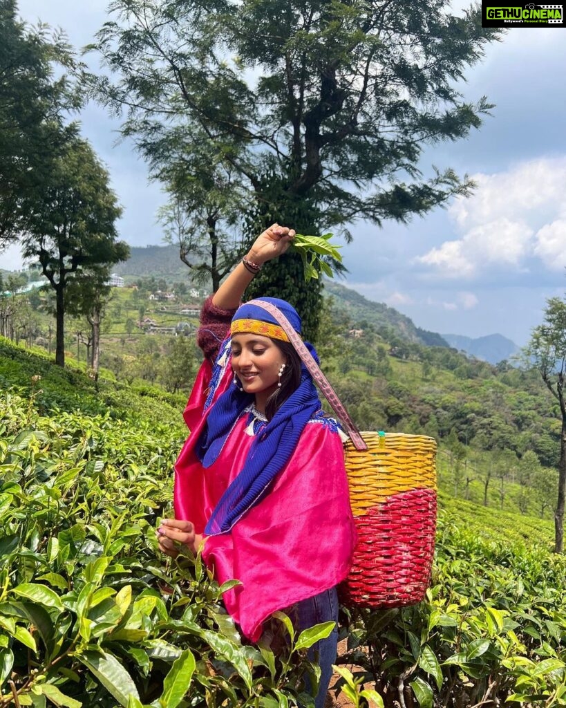 Ulka Gupta Instagram - Chai ke Baaghaan mein yeh nahi kiya toh kya kiya? 🤙🏾 Sollu 😎 #teaplantations #ootydiaries Ooty & Coonoor, Nilgiri Hills, Tamil Nadu