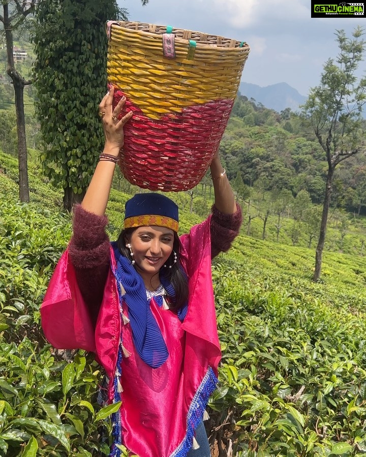 Ulka Gupta Instagram - Chai ke Baaghaan mein yeh nahi kiya toh kya kiya? 🤙🏾 Sollu 😎 #teaplantations #ootydiaries Ooty & Coonoor, Nilgiri Hills, Tamil Nadu