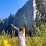 Vidhya Instagram - 🌻🏔🌞 Yosemite National Park, California