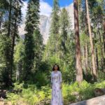 Vidhya Instagram – 🌻🏔🌞 Yosemite National Park, California
